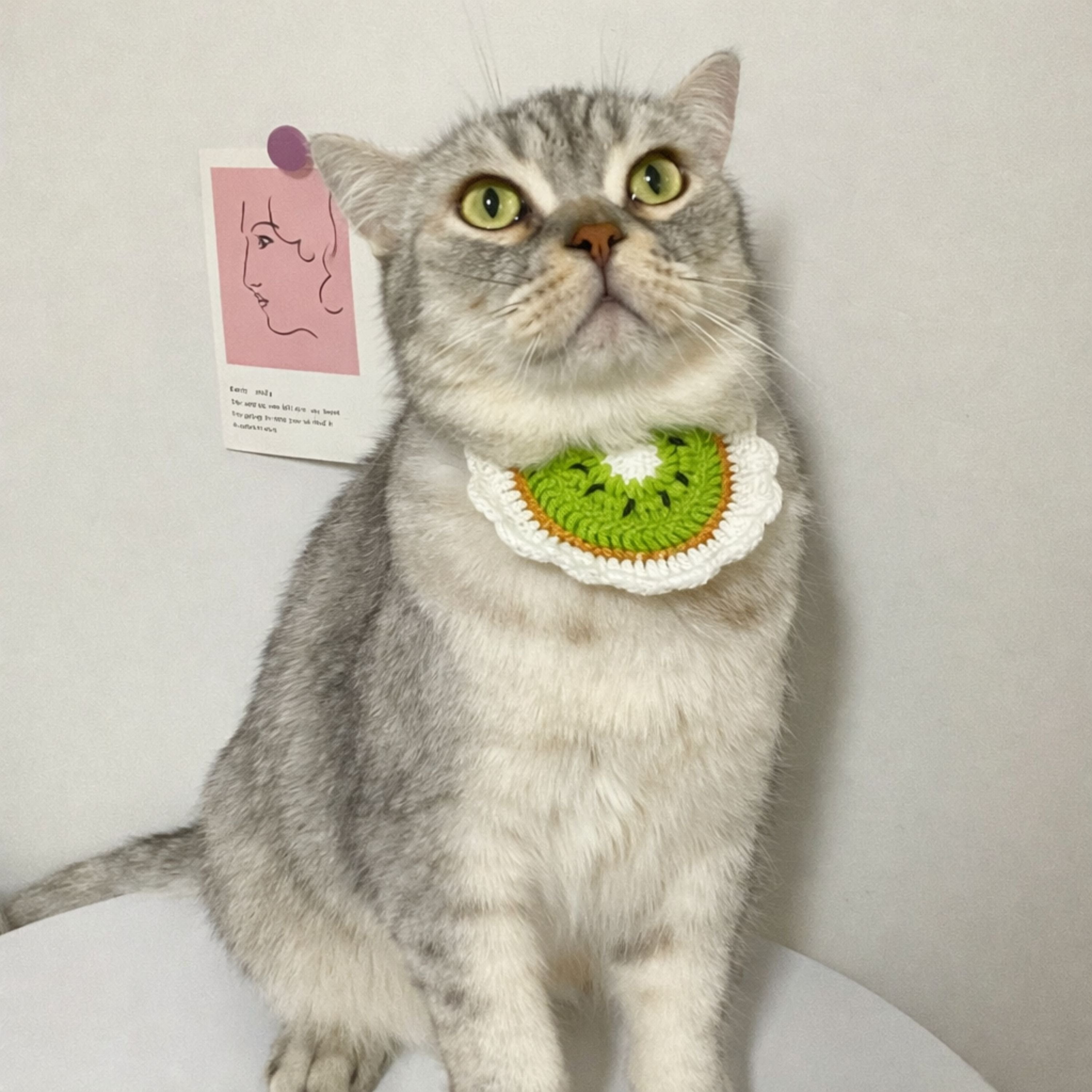 Kiwi Cat Collar Pattern