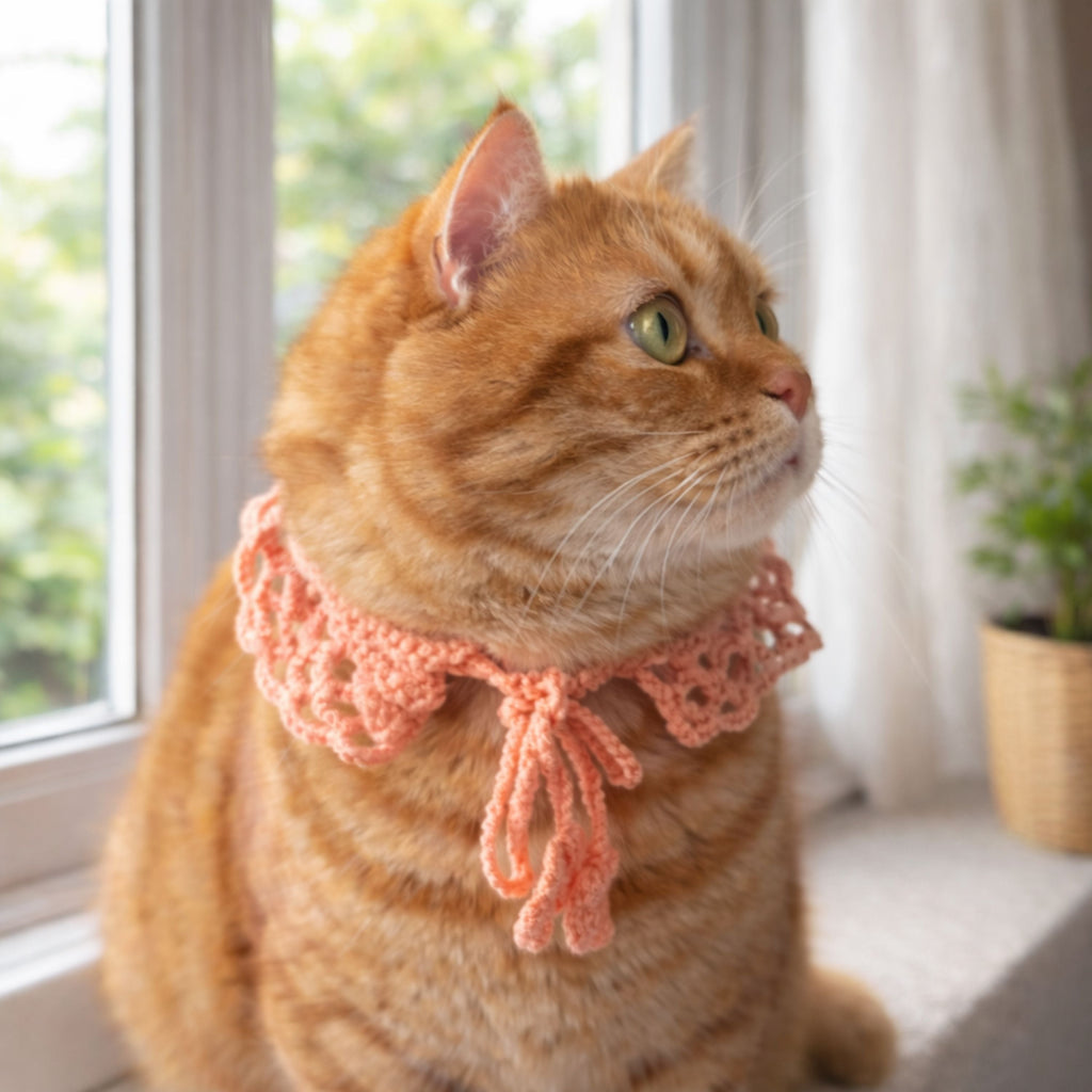 Lace Cat Collar Pattern